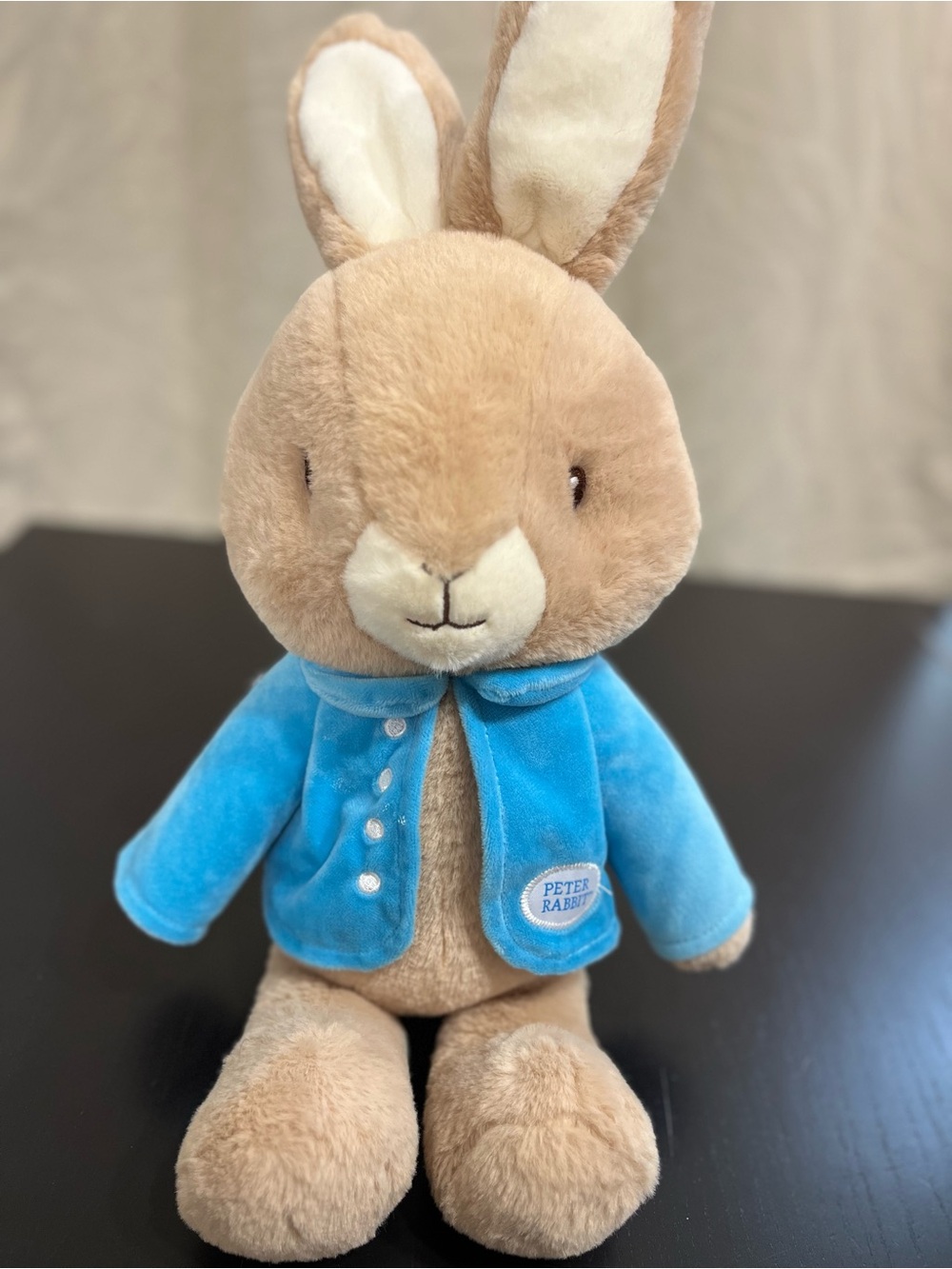 Beatrix Potter Peter Rabbit 10" Plush Stuffed Animal Toy Kids Preferred 2022